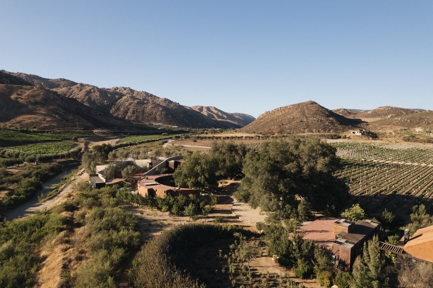 Aerial view of Bruma among the vineyards and hills of Valle de Guadalupe
