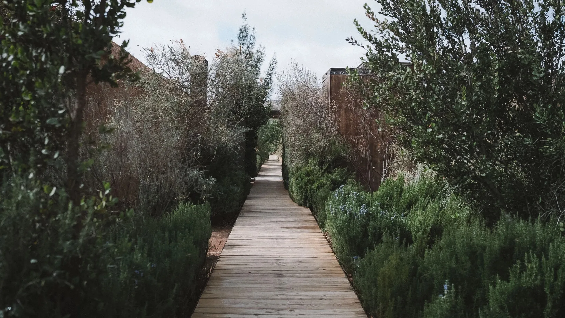 Boardwalk through the gardens at Bruma
