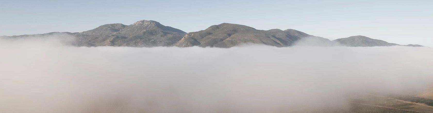 Morning fog below the mountains of Valle de Guadalupe