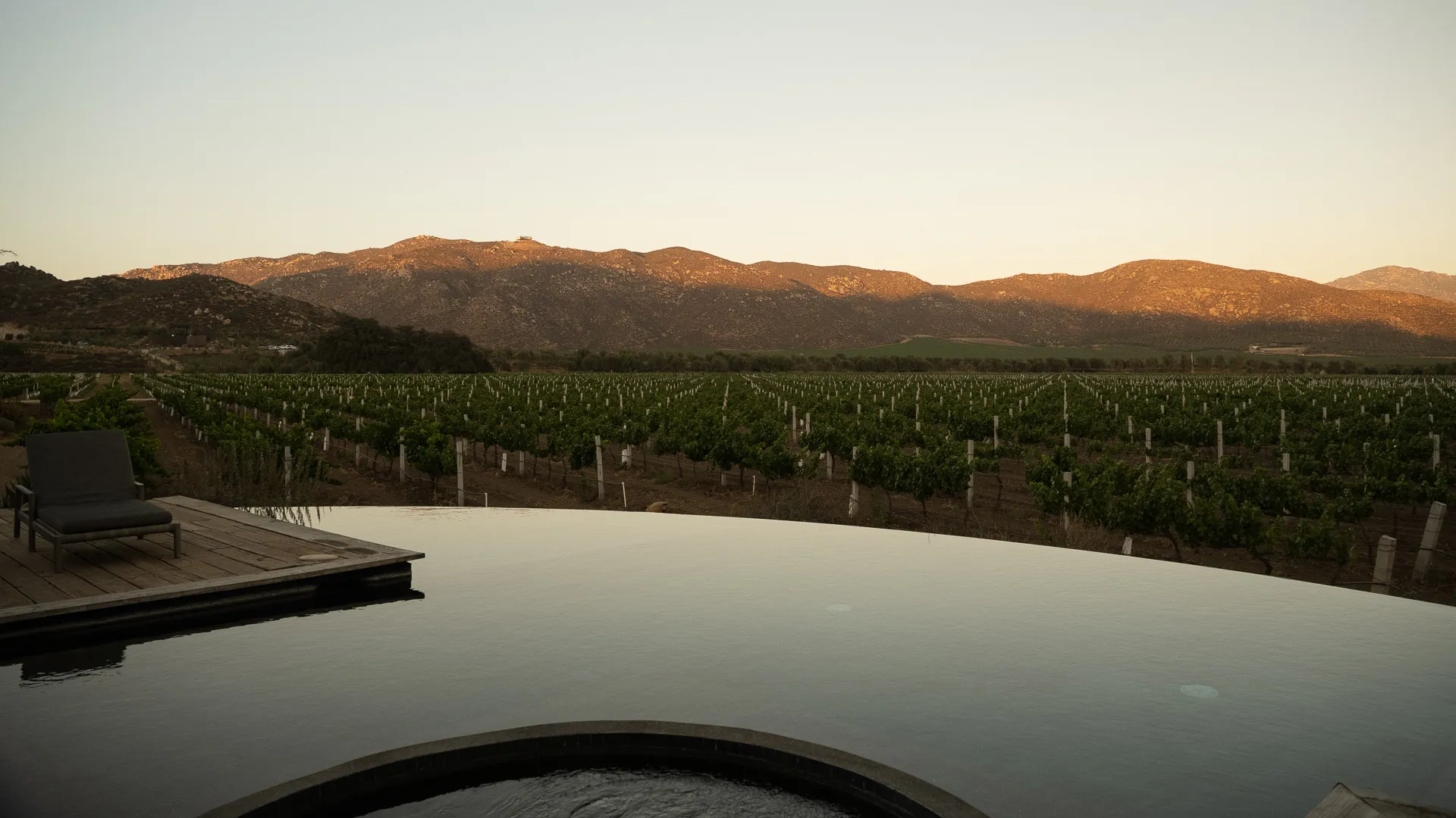 The infinity pool’s edge looking out over the vineyards at dusk