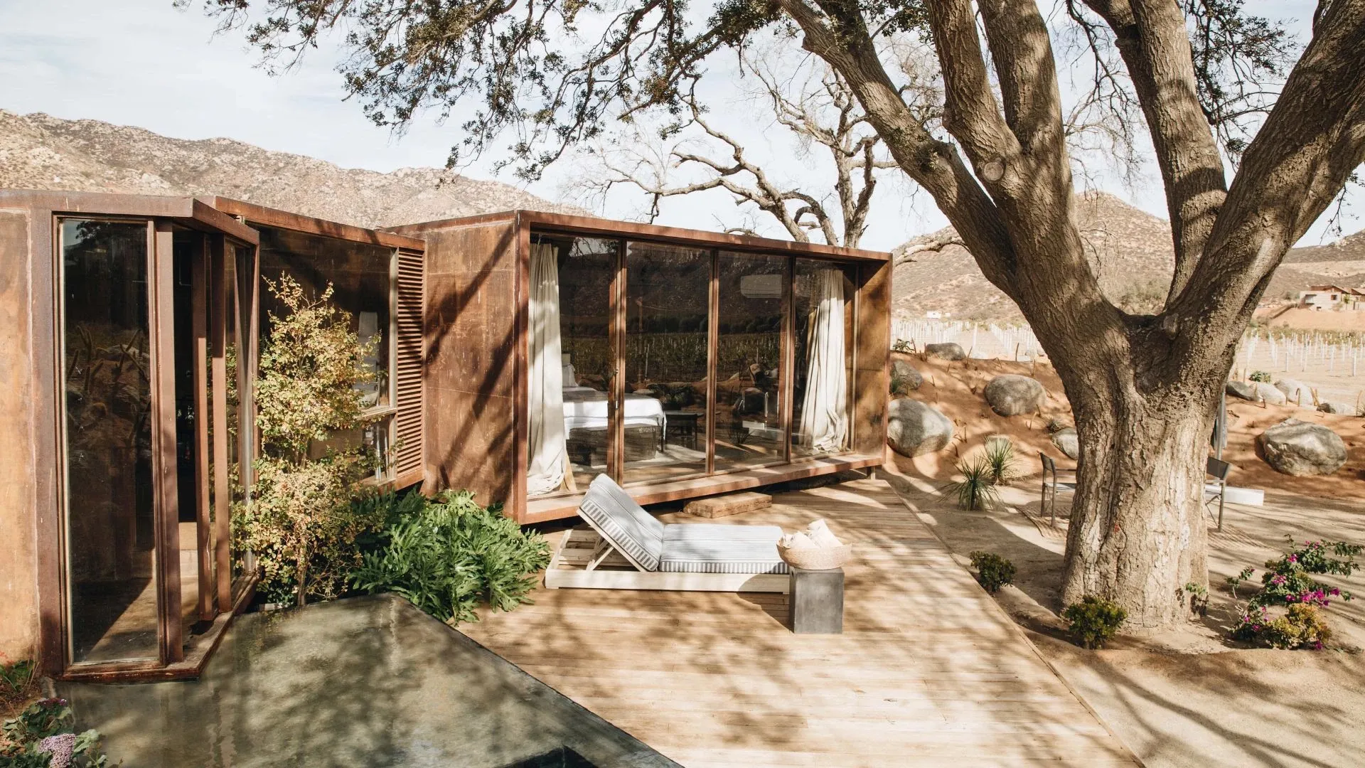 A suite at Casa Ocho under the oak