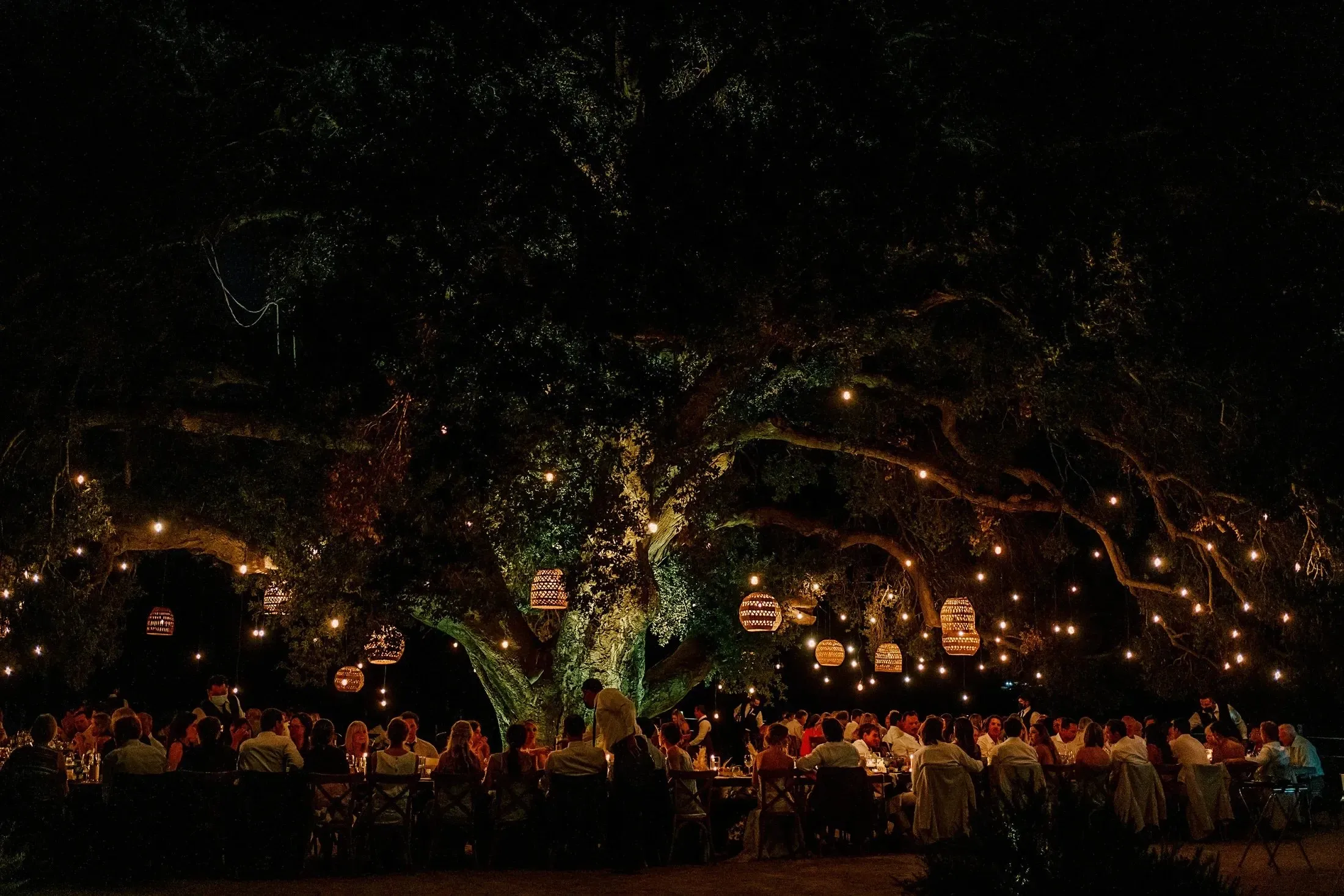 Dinner under the lit oak at night